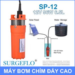 Bom Nuoc Nang Luong Mat Troi 12v SURGEFLO