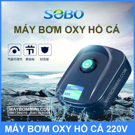 May Bom Oxy Ho Ca Gia Dinh