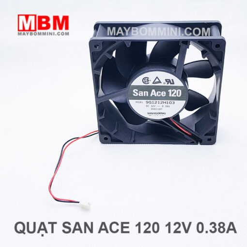 May Quat 12v.jpg