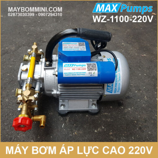 May Bom Phun Thuoc Sau Ap Luc Cao 1100W