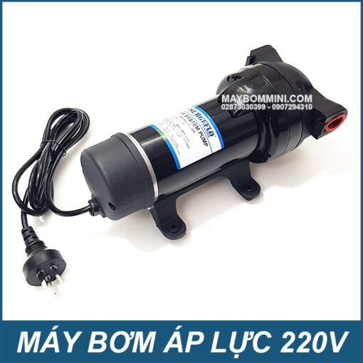 PUMP SURGEFLO 220V 150W FL200